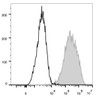 4T-1 cells  are stained with PE/Cyanine7 Anti-Mouse CD326 Antibody(filled gray histogram). Unstained  cells(empty black histogram) are used as control.