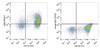 C57BL/6 murine splenocytes are stained with PE/Cyanine7 Anti-Mouse CD64 Antibody[Used at .2 μg/1<sup>6</sup> cells dilution] and FITC Anti-Mouse CD11b Antibody(Left). Splenocytes stained with FITC Anti-Mouse CD11b Antibody and PE/Cyanine7 Mouse IgG1 Isotype Control(Right) are used as control.