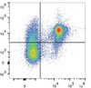 C57BL/6 murine splenocytes are stained with PE/Cyanine7 Anti-Mouse CD2 Antibody and FITC Anti-Mouse CD45R/B22 Antibody.