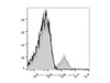 Human peripheral blood lymphocytes are stained with Anti-Human CD56 Monoclonal Antibody(APC Conjugated)(filled gray histogram). Unstained lymphocytes (empty black histogram) are used as control.