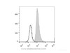 Human peripheral blood lymphocytes are stained with Anti-Human CD31 Monoclonal Antibody(PerCP/Cyanine5.5 Conjugated)(filled gray histogram). Unstained lymphocytes (empty black histogram) are used as control.