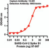 Sandwich ELISA for SARS-CoV-2 (COVID-19) Matched Pair Spike S1 Antibodies
Antibodies: SARS-CoV-2 (COVID-19) Spike Antibodies, 10-351 and 9083-biotin. A sandwich ELISA was performed using SARS-CoV-2 Spike S1 antibody (10-351, 2ug/ml) as capture antibody, the Spike S1 recombinant protein as the binding protein (97-087), and the anti-SARS-CoV-2 Spike S1 antibody (9083-biotin, 1ug/ml) as the detection antibody. Secondary: Streptavidin-HRP at 1:10000 dilution. Detection range is from 0.03 ng to 300 ng. EC50 = 1.96 ng
