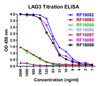 Titration curve analysis of LAG-3 mAbs to detect recombinant LAG-3 in ELISA with RF16082, RF16083, RF16084, RF16086, RF16087, RF16088, and RF16089 antibodies at decreasing concentrations.