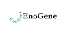 eNOS (Phospho-Ser1179) Polyclonal Antibody