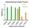 <strong>Figure 2 ELISA Validation with SARS-CoV-2 (COVID-19)  Spike Trimer Proteins of Omicron and Delta Variants  </strong><br>
Antibodies: SARS-CoV-2 (COVID-19) Spike S1 RBD Antibodies.  A direct ELISA was performed using SARS-CoV-2 Spike Trimer recombinant proteins of Omicron and Delta variants as coating antigen at 1 &#956;g/mL and each of the 6 anti-SARS-CoV-2 (COVID-19) Spike S1 RBD antibodies as the capture antibody, following by anti-cMyc-tag antibody (PM-7669) at 1 &#956;g/mL. Secondary: Goat anti-mouse IgG HRP conjugate at 1:5,000 dilution. Detection range is from 0.3 ng/mL to 1000 ng/mL. SD9439, SD9441, and SD9503 bind spike proteins of omicron variant, but not delta variant; SD9511 and SD9437 bind spike proteins of delta variant, but not omicron variant; SD9507 binds spike proteins of  delta and omicron variants.