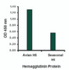 Hemagglutinin antibody at 1 ug/mL specifically recognizes Avian H5N1 influenza virus but not seasonal influenza virus A H1N1 Hemagglutinin protein.