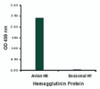 Hemagglutinin antibody at 1 ug/mL specifically recognizes Avian H5N1 influenza virus but not seasonal influenza virus A H1N1 Hemagglutinin protein.