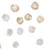 Immunocytochemistry of DISC1 in HeLa cells with DISC1 antibody at 5 ug/mL.
