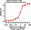 Figure 2 Sandwich ELISA for SARS-CoV-2 (COVID-19) Matched Pair Spike S1 Antibodies
Antibodies: SARS-CoV-2 (COVID-19) Spike Antibodies, 10-351 and 9091-biotin. A sandwich ELISA was performed using SARS-CoV-2 Spike S1 antibody (10-351, 2ug/ml) as capture antibody, the Spike S1 recombinant protein as the binding protein (97-087) , and the anti-SARS-CoV-2 Spike S1 antibody (9091-biotin, 1ug/ml) as the detection antibody. Secondary: Streptavidin-HRP at 1:10000 dilution. Detection range is from 0.03 ng to 300 ng. EC50 = 3.14 ng