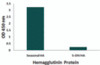 Seasonal Influenza A Hemagglutinin antibody (Cat. No. PM-5533; 2 ug/mL) recognizes seasonal influenza A (H1N1) , but not swine-origin influenza A (S-OIV, H1N1) , Hemagglutinin protein in ELISA.