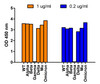 Figure 1 SARS-Cov-2 Spike 26P Antibodies Detect Spike S1 Proteins of all Variants except Gamma Variant in an ELISA 
Coating Antigen: SARS-CoV-2 spike S1 proteins WT, alpha variant (B.1.1.7) , beta variant (B.1.351) , gamma variant (P.1) , delta variant (B.1.617.2) , mu variant (B.1.621) , and omicron variant (B.1.1.529) , 1 &#956;g/mL, incubated at 4 &#730;C overnight.
Detection Antibodies: SARS-CoV-2 Spike 26P antibody, PM-9583, dilution: 200 and 1000 ng/mL, incubate at RT for 1 hr.
Secondary Antibodies: Goat anti-mouse HRP at 1:5, 000, incubate at RT for 1 hr.