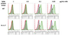 Flow cytometry neutralizing assay: C-A11 displayed dose dependent blocking of spike proteins (wild type and UK variant) to ACE2 expressing cells.