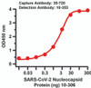 <strong>Figure 2 Sandwich ELISA for SARS-CoV-2 (COVID-19) Matched Pair Nucleocapsid Antibodies</strong><br>
Antibodies: SARS-CoV-2 (COVID-19) Nucleocapsid Antibodies, 35-720 and 10-353. A sandwich ELISA was performed using SARS-CoV-2 Nucleocapsid antibody (35-720, 2ug/ml) as capture antibody, the Nucleocapsid recombinant protein as the binding protein (10-306) , and the anti-SARS-CoV-2 Nucleocapsid antibody (10-353, 0.1ug/ml) as the detection antibody. Secondary: Goat anti-rabbit IgG HRP conjugate at 1:20000 dilution. Detection range is from 0.03 ng to 300 ng. EC50 = 6.9 ng