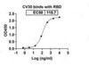 CV30 binds with RBD