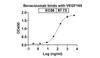 Bevacizumab binds with VEGF165