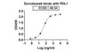 Durvalumab binds with PDL1