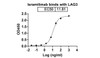 Ieramilimab binds with LAG3