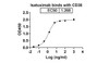 Isatuximab binds with CD38