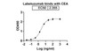 Labetuzumab binds with CEA