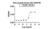 Olinvacimab binds with VEGFR2