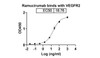 Ramucirumab binds with VEGFR2