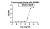 Trastuzumab Emtansine (ERBB2/EGFR2/CD340) Antibody, Monoclonal | 10-444