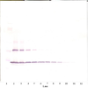 To detect mIL-1-beta by Western Blot analysis this antibody can be used at a concentration of 0.1-0.2 ug/ml. Used in conjunction with compatible secondary reagents the detection limit for recombinant mIL-1-beta is 1.5-3.0 ng/lane, under either reducing or non-reducing conditions.