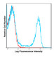 C57BI/6 bone marrow cells were stained with PE-Cy7 M1/70 with relevant isotype control in Red.