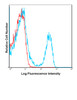 C57Bl/6 splenocytes were stained with FITC 145-2C11 with relevant isotype control in Red.