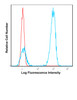 Human peripheral blood lymphocytes were stained with APC SK7 with relevant isotype control in Red.