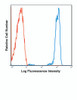 Human peripheral blood lymphocytes were stained with FITC HI30 with relevant isotype control in Red.