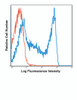 Human peripheral blood lymphocytes were stained with FITC UCHL1 with relevant isotype control in Red.