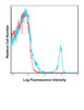 C57Bl/6 splenocytes were stained with PerCP-Cy5.5 53-6.7 with relevant isotype control in Red.