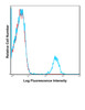 Human peripheral blood lymphocytes were stained with PE HIB19 with relevant isotype control in Red.