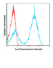 C57BI/6 bone marrow cells were stained with BG Violet 450 M5/114.15.2 with relevant isotype control in Red.