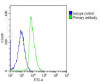 Overlay histogram showing SH-SY5Y cells stained with Antibody (green line) . The cells were fixed with 2% paraformaldehyde (10 min) and then permeabilized with 90% methanol for 10 min. The cells were then icubated in 2% bovine serum albumin to block non-specific protein-protein interactions followed by the antibody (1:25 dilution) for 60 min at 37ºC. The secondary antibody used was Goat-Anti-Rabbit IgG, DyLight 488 Conjugated Highly Cross-Adsorbed (OH191631) at 1/200 dilution for 40 min at 37ºC. Isotype control antibody (blue line) was rabbit IgG (1ug/1x10^6 cells) used under the same conditions. Acquisition of >10, 000 events was performed.