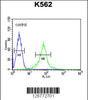 Flow cytometric analysis of K562 cells (right histogram) compared to a negative control cell (left histogram) .FITC-conjugated goat-anti-rabbit secondary antibodies were used for the analysis.