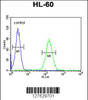 Flow cytometric analysis of HL-60 cells (right histogram) compared to a negative control cell (left histogram) .FITC-conjugated goat-anti-rabbit secondary antibodies were used for the analysis.