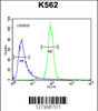 Flow cytometric analysis of K562 cells (right histogram) compared to a negative control cell (left histogram) .FITC-conjugated goat-anti-rabbit secondary antibodies were used for the analysis.