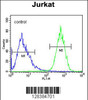 Flow cytometric analysis of Jurkat cells (right histogram) compared to a negative control cell (left histogram) .FITC-conjugated goat-anti-rabbit secondary antibodies were used for the analysis.