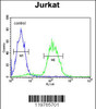Flow cytometric analysis of Jurkat cells (right histogram) compared to a negative control cell (left histogram) .FITC-conjugated goat-anti-rabbit secondary antibodies were used for the analysis.