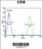 Flow cytometric analysis of CEM cells (right histogram) compared to a negative control cell (left histogram) .FITC-conjugated goat-anti-rabbit secondary antibodies were used for the analysis.