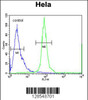 Flow cytometric analysis of Hela cells (right histogram) compared to a negative control cell (left histogram) .FITC-conjugated goat-anti-rabbit secondary antibodies were used for the analysis.