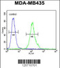 Flow cytometric analysis of MDA-MB435 cells (right histogram) compared to a negative control cell (left histogram) .FITC-conjugated goat-anti-rabbit secondary antibodies were used for the analysis.