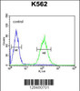 Flow cytometric analysis of K562 cells (right histogram) compared to a negative control cell (left histogram) .FITC-conjugated goat-anti-rabbit secondary antibodies were used for the analysis.