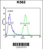 Flow cytometric analysis of K562 cells (right histogram) compared to a negative control cell (left histogram) .FITC-conjugated goat-anti-rabbit secondary antibodies were used for the analysis.