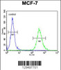 Flow cytometric analysis of MCF-7 cells (right histogram) compared to a negative control cell (left histogram) .FITC-conjugated goat-anti-rabbit secondary antibodies were used for the analysis.