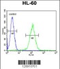 Flow cytometric analysis of HL-60 cells (right histogram) compared to a negative control cell (left histogram) .FITC-conjugated goat-anti-rabbit secondary antibodies were used for the analysis.