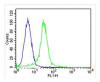 Overlay histogram showing Hela cells stained with Antibody (green line) . The cells were fixed with 2% paraformaldehyde (10 min) and then permeabilized with 90% methanol for 10 min. The cells were then icubated in 2% bovine serum albumin to block non-specific protein-protein interactions followed by the antibody (1:25 dilution) for 60 min at 37ºC. The secondary antibody used was Goat-Anti-Rabbit IgG, DyLight 488 Conjugated Highly Cross-Adsorbed (OH191631) at 1/400 dilution for 40 min at 37ºC. Isotype control antibody (blue line) was rabbit IgG (1ug/1x10^6 cells) used under the same conditions. Acquisition of >10, 000 events was performed.