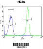 Flow cytometric analysis of Hela cells (right histogram) compared to a negative control cell (left histogram) .FITC-conjugated goat-anti-rabbit secondary antibodies were used for the analysis.